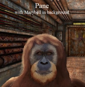 Pane w marybell in background